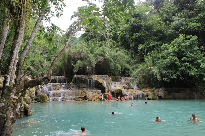 A Relaxing Day at the Kuang Si Falls - The Trail to Kuang Si: Rainforest Walk, Bear Rescue Centre, and Then the Pools