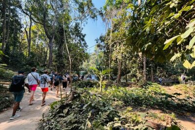 Day Trek to Kuangsi Waterfall and Bear Sanctuary – Luang Prabang full day tour