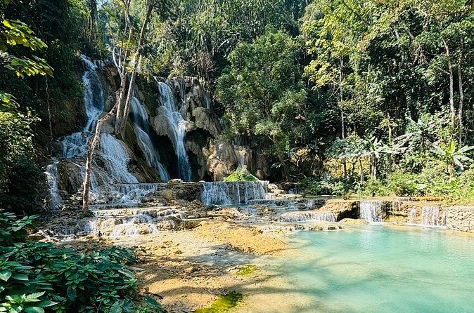 Day Trek to Kuangsi Waterfall and Bear Sanctuary - Luang Prabang full day tour - What you pay for: the real value behind $92.29