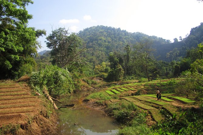 Full Day Crossing the Bolaven Plateau - Stop 2: Tad Fane waterfall, the 120-meter double cascade