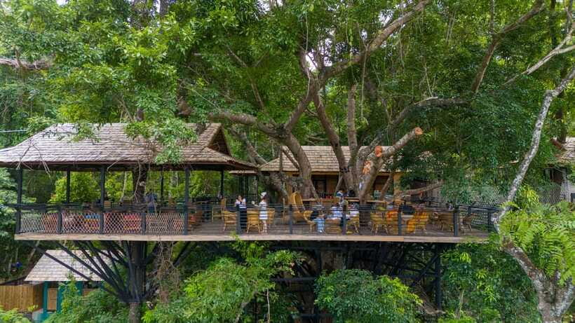 Kuang Si Waterfall, Tree Top Cafe, Ziplining - Ziplining over Kuang Si, the five runs and how to make it feel smooth
