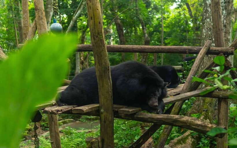 Kuang Si Waterfall, Tree Top Cafe, Ziplining - Safety and gear, what to listen for before you go