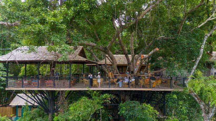 Kuang Si Waterfall, Tree Top Cafe, Ziplining - From Luang Prabang pickup to Kuang Si, the road time that actually matters