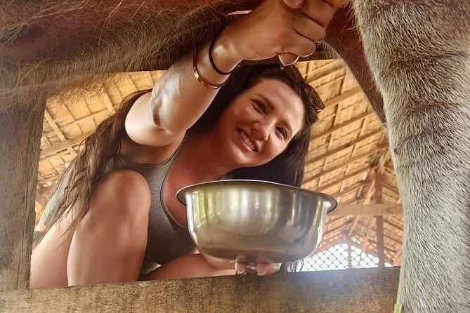 Laos Buffalo Dairy Tours Interact, Learn and Taste Fresh Flavors - Tour options and timing: choose Buffalo Buffet, Farm Delight, or Cooking Class