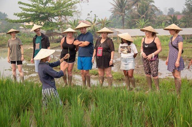 Living Land Rice Farming Experience - Supporting Students and Free English Classes in the Village