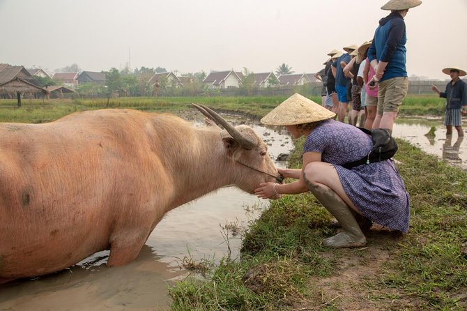 Living Land Rice Farming Experience - Small Physical Reality Check: Mud, Shoes Off, and Comfort
