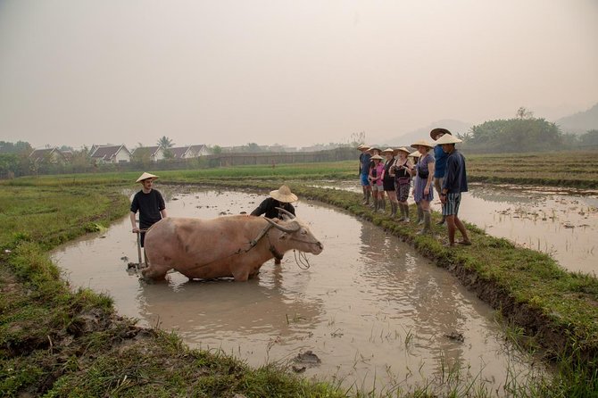 Living Land Rice Farming Experience - Bamboo Weaving, Sugar Cane Pressing, and Blacksmithing