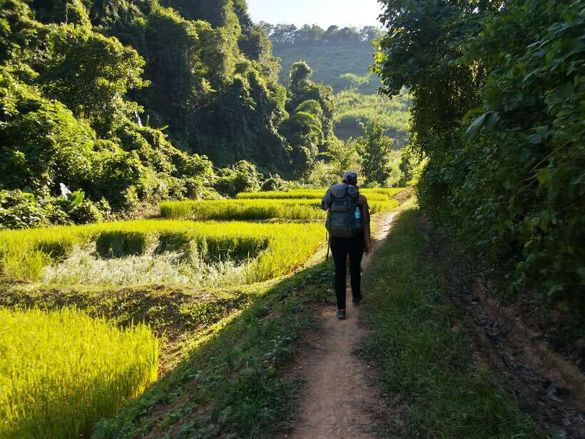 Luang Prabang: 3-Day Cultural Remote Trek With Homestay - 3 days of cultural trekking beyond the Luang Prabang postcard