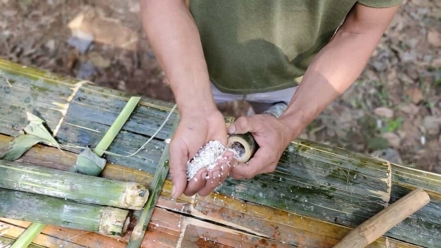 Luang Prabang: Bamboo Forest Cooking-class & Farm Visit - Lunch in the forest: what the meal experience feels like
