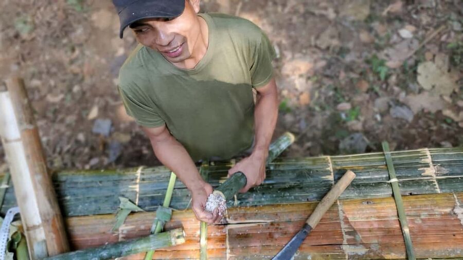 Luang Prabang: Bamboo Forest Cooking-class & Farm Visit - Your guide and group size: why the day feels personal