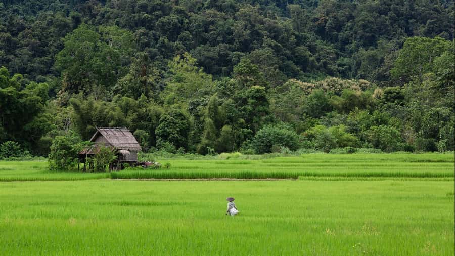 Luang Prabang: Countryside Mountain Bike Tour with Lunch - Fitness and terrain: the honest 50 km reality check