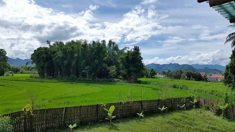 Luang Prabang: Evening Cooking Class & Local Baci Ceremony - Eating Lao-Style Dinner, Not a Buffet