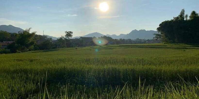 Luang Prabang: Evening Cooking Class & Local Baci Ceremony - Folk Music in Hmong Costume, Plus That Rice-Field View