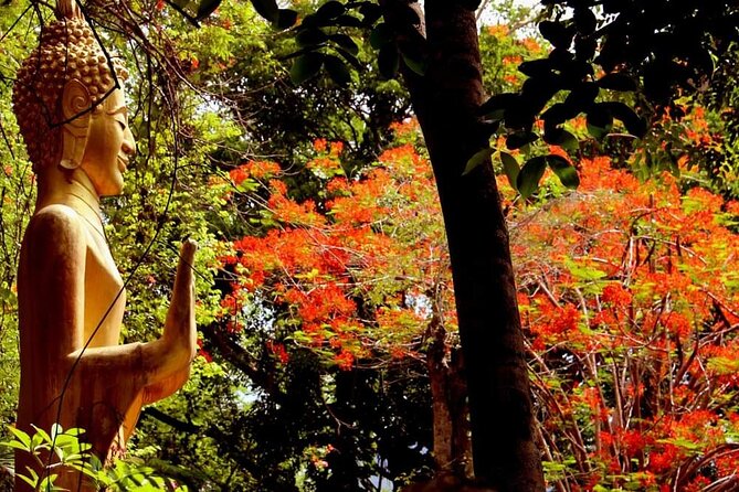 Luang Prabang Foodie Walking Tour and Monk Blessing - Coffee and the Morning Start You Will Appreciate