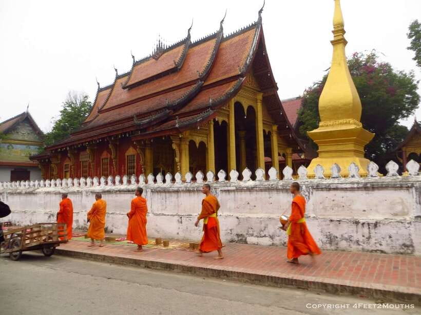 Luang Prabang: Foodie Walking Tour & Monk Blessing - Following Joma Bakery Aromas Into Luang Prabang’s Food Street