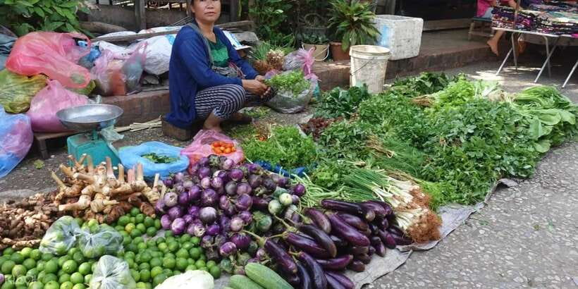 Luang Prabang: Foodie Walking Tour & Monk Blessing - Who This Tour Suits Best (And Who Should Skip)