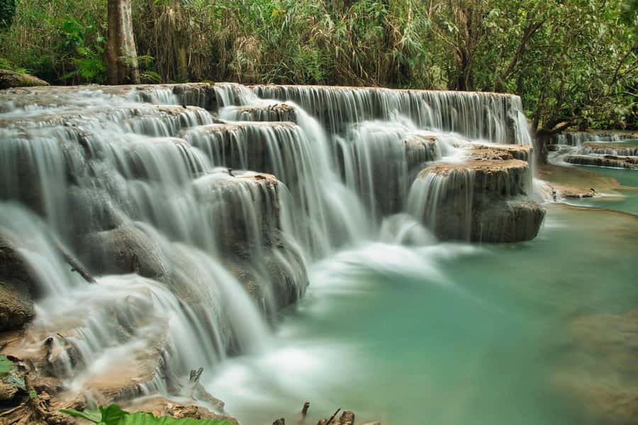 Luang Prabang: Full Day Trek to Kuang Si Waterfall & Village - A Forest Trek to Kuang Si That Feels Like a Real Day Out
