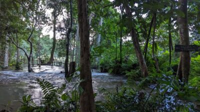 Full Day Trek to Kuang Si Waterfall & Village