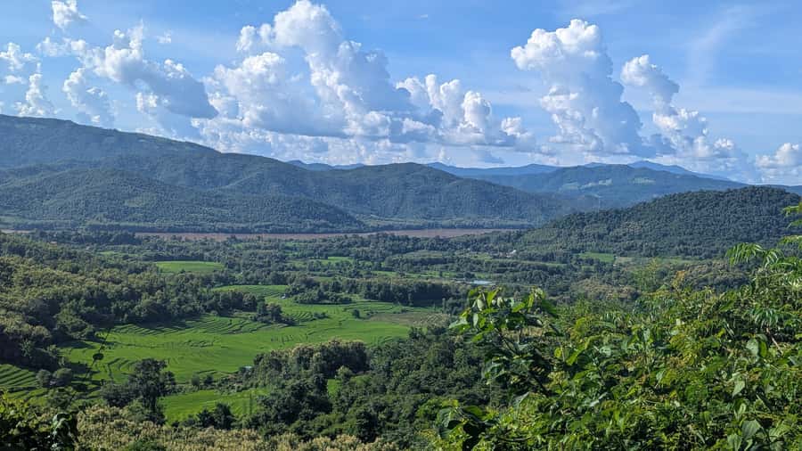 Luang Prabang: Full Day Trek to Kuang Si Waterfall & Village - Price and Value: Why This Tour Can Be Worth $63