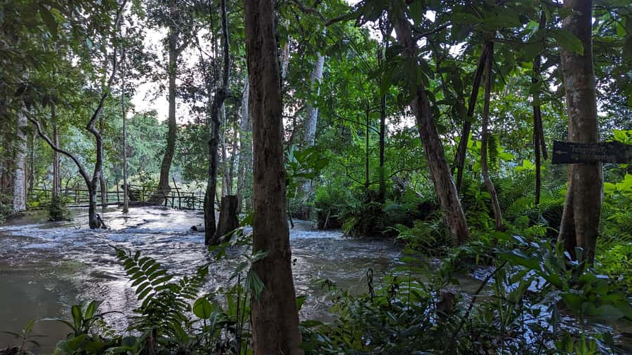 Luang Prabang: Full Day Trek to Kuang Si Waterfall & Village - Getting to the Start: What the Morning Drive Actually Means