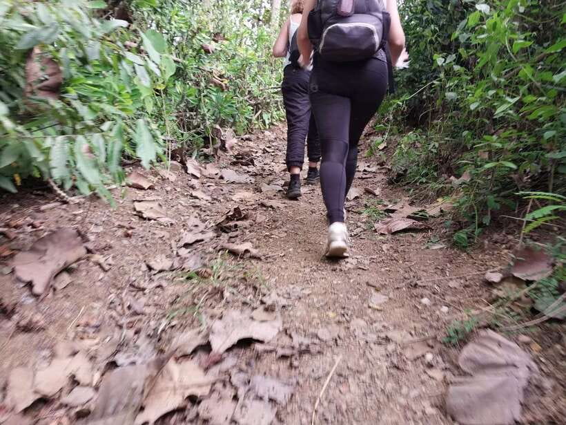 Luang Prabang: Hiking Off the Beaten Track with Picnic Lunch - Hmong and Kamu Life Up Close: Crops, Herbs, and Everyday Wisdom