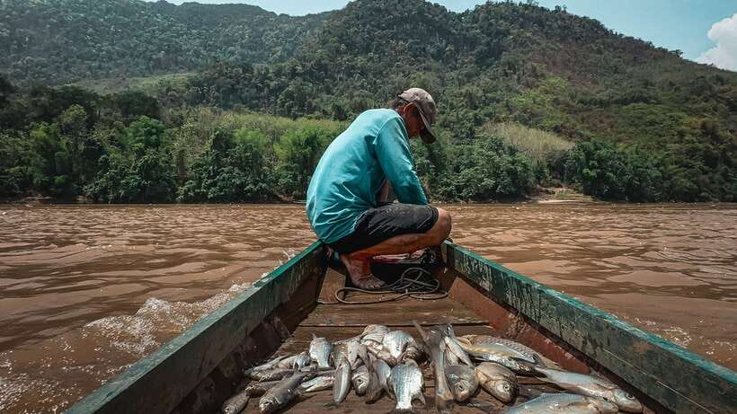 Luang Prabang: Mekong Fishing with a Local Fisherman & Lunch - Hands-On Net Casting: What You Do, What You Learn, and How Wet to Expect