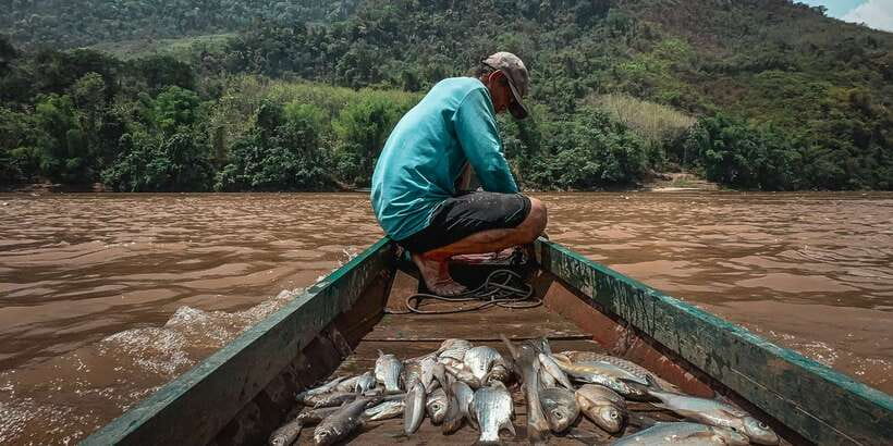 Luang Prabang: Mekong Fishing with a Local Fisherman & Lunch - Small Group Size and Local Transport: Value You Feel in the Details
