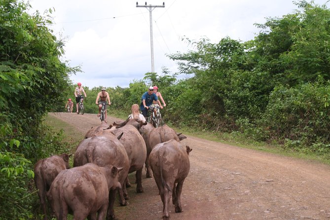 Luang Prabang Mountain Bike Cycling Tour - Ride organization and guide energy: what to expect from the small-group setup