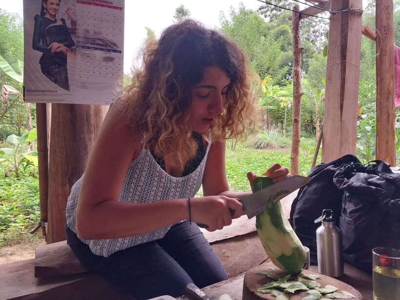 Luang Prabang: Organic Farm Experience & Hike to Kuang si - Bear sanctuary visit, up close with rescued bears
