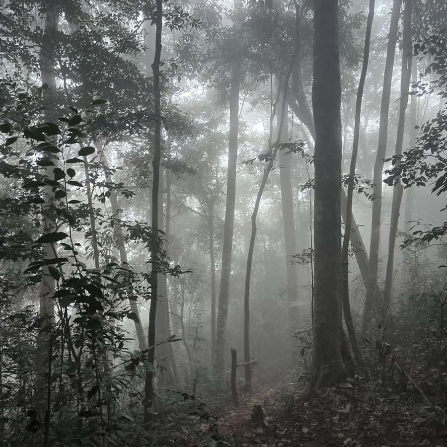 Overnight Camping At nong khiaw view point, 360 view - What to Pack for This Jungle Night and Early Morning