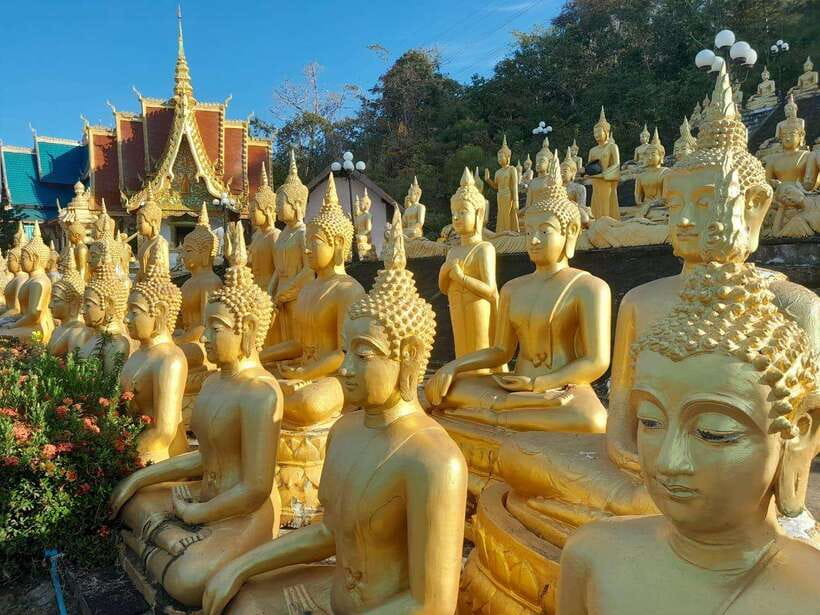 Pakse: Mystic Falls & Timeless Temples of Southern Laos Tour - Price and Logistics: Is $97 Good Value?