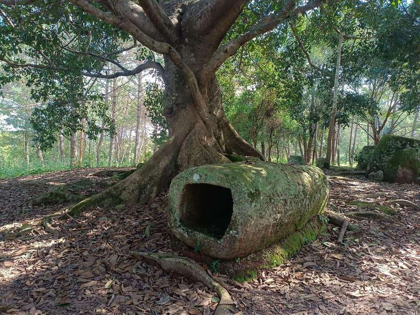 Plain of jars private tour - Price and logistics: what you’re really paying for at $110 per person