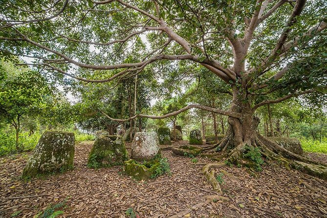 Plain of jars tour with local guide - Who this tour is best for, and who should rethink it