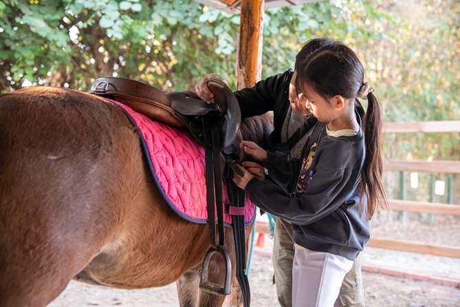 Pony Riding in Luang Prabang - First Step: Meet Your Horse and Learn the Ground Rules