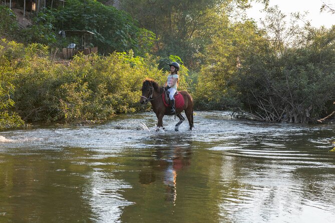 Pony Riding in Luang Prabang - What Happens During the Ride (and Why the Sequence Matters)