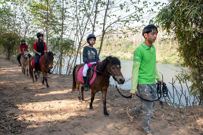 Pony Riding in Luang Prabang - Practical Tips So You Enjoy It More