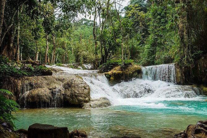 Private Tour: Pak Ou Cave and Kuang Si Waterfall Tour from Luang Prabang - Lunch by the river, then heading to Kuang Si Falls