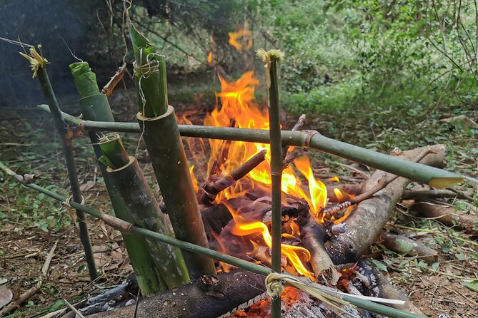 Tribal Cooking Class in Luang Prabang Forest and visit - The short forest walk where you learn what to pick