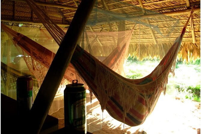 Unwind with a Sunset Cruise on the Mekong River - Price and logistics in Luang Prabang: simple, but plan your evening