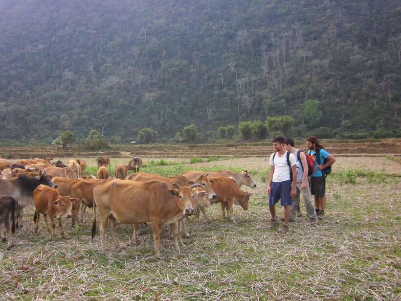 Vang Vieng: Jungle & Caves Full-Day Private Trekking Tour - Why This Vang Vieng Trek Feels Like a Real Day Out