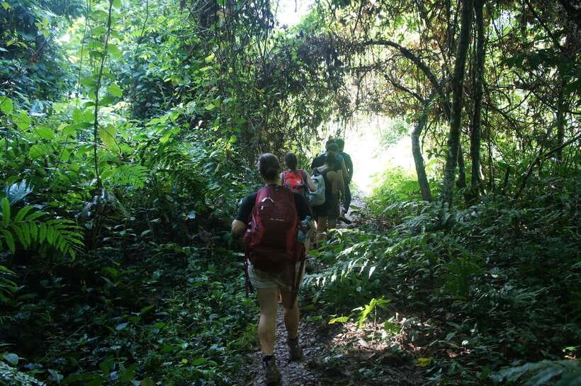 Vang Vieng: Jungle & Caves Full-Day Private Trekking Tour - Climbing a 1500 m Ridge for Views You Can Actually Use