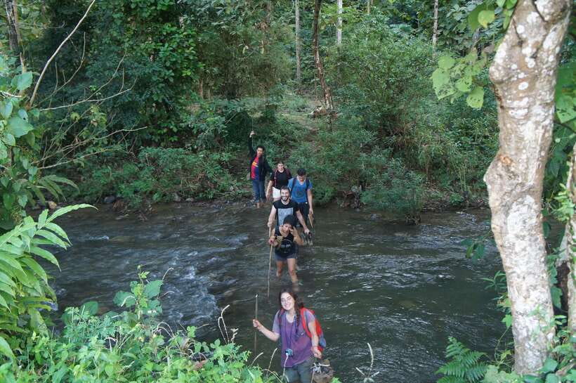 Vang Vieng: Jungle & Caves Full-Day Private Trekking Tour - What the $120 Price Buys You (and When It Feels Like a Good Deal)