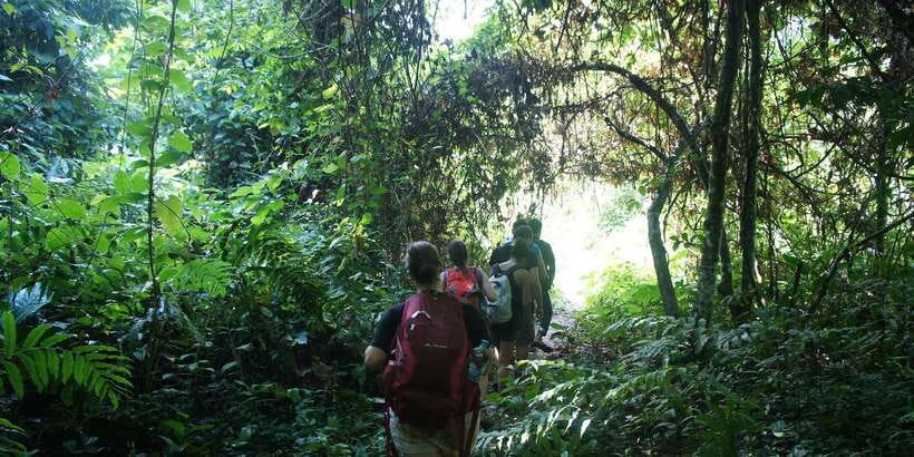 Vang Vieng: Jungle & Caves Full-Day Private Trekking Tour - Fitness Level and Who Should Skip This Tour