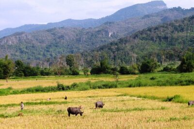 Vientiane Day Trip By Bike To Tad Moon Waterfall